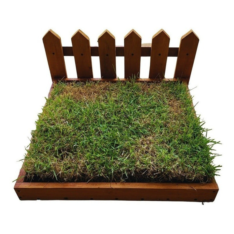 Sanitario De Madera Para Pasto Natural Para Mascotas