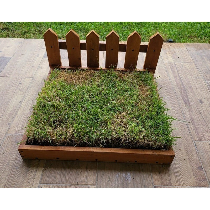 Sanitario De Madera Para Pasto Natural Para Mascotas
