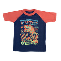 Playera Estampada Moda Pv Para Niño