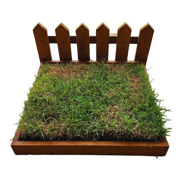 Sanitario De Madera Para Pasto Natural Para Mascotas
