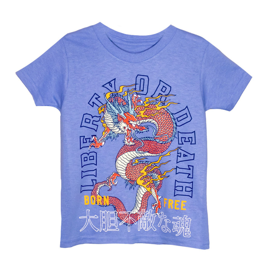 Playera Gear Estampado Diseños Para Niño